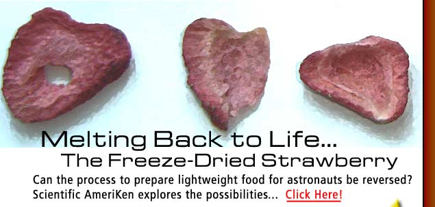 Scientific AmeriKen attempts to bring a strawberry back to life from its mummified state! Click here to find out how!